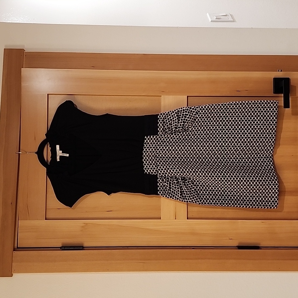 Maxandcleo Black and White Dress